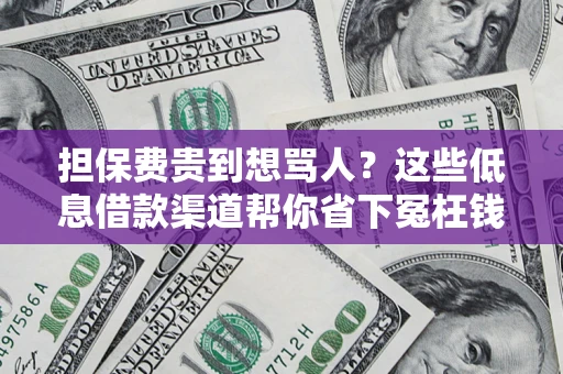 济南担保费贵到想骂人？这些低息借款渠道帮你省下冤枉钱