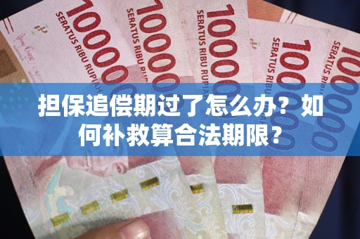济南担保追偿期过了怎么办？如何补救算合法期限？