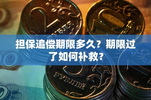 济南担保追偿期限多久？期限过了如何补救？